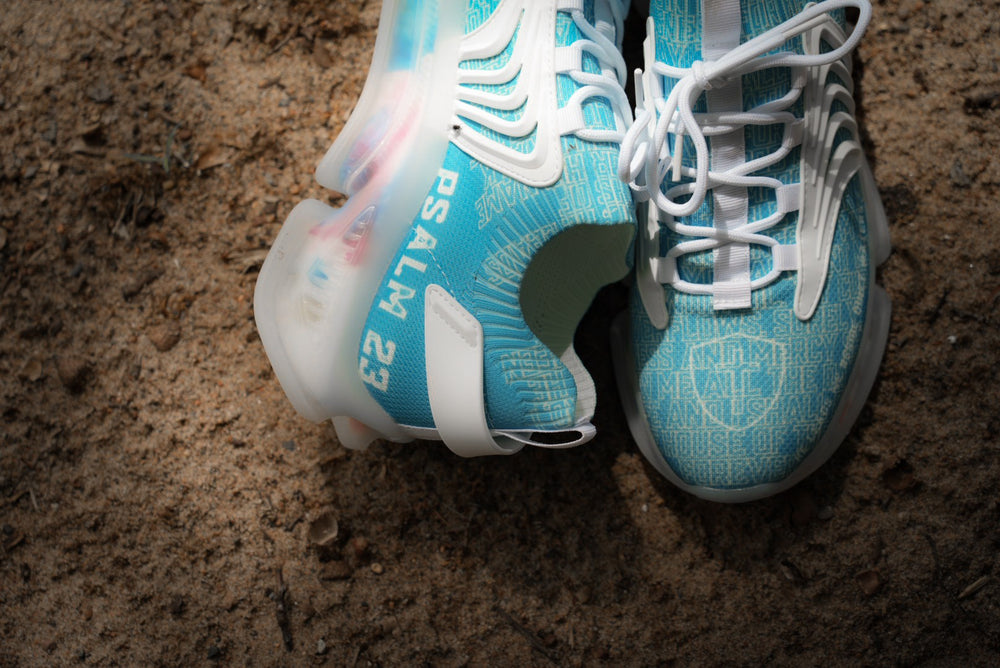 Psalm 23s Quiet Waters colorway heel detail